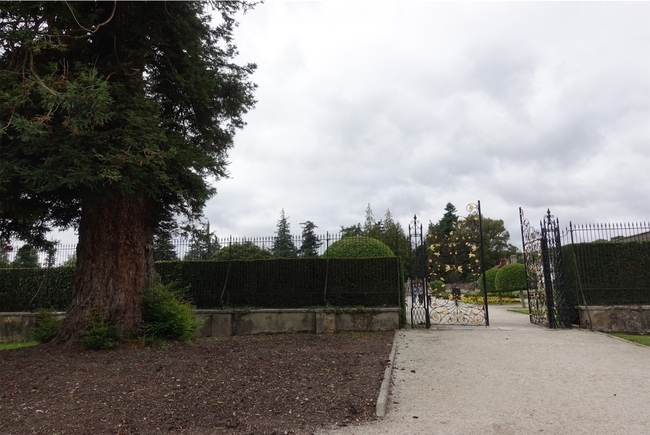 f:id:Ayaczko:20260917075609j:image