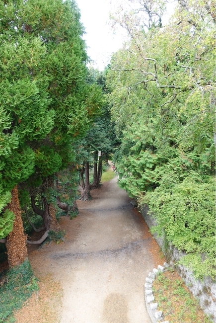 f:id:Ayaczko:20260917080140j:image