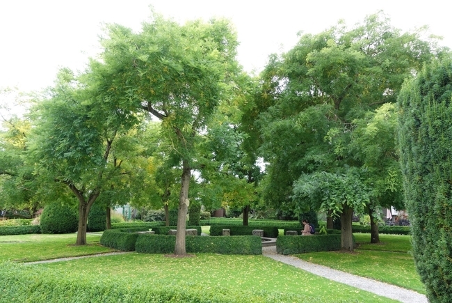 f:id:Ayaczko:20260920004943j:image f:id:Ayaczko:20260920004943j:image