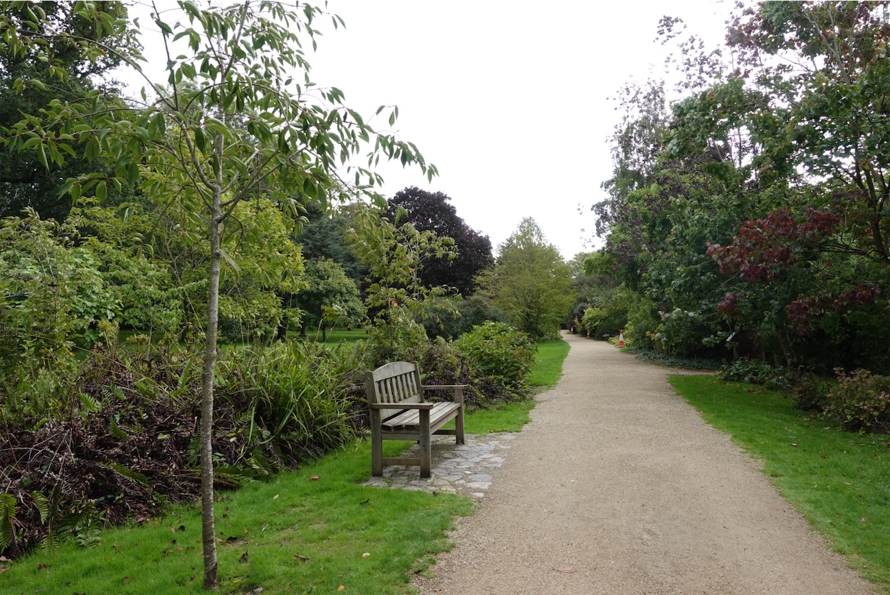 f:id:Ayaczko:20260921000305j:image