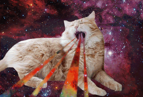 f:id:Ayako28:20171124182948g:plain