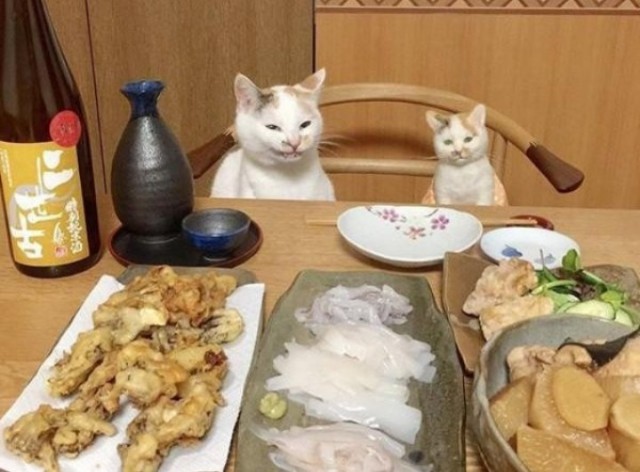 f:id:Ayako28:20181005170923j:plain