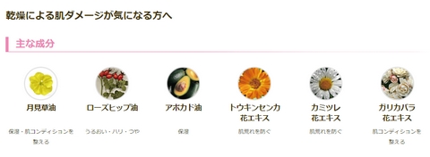 f:id:AyakoKITAGAWA:20170115014820j:plain f:id:AyakoKITAGAWA:20170115014820j:plain