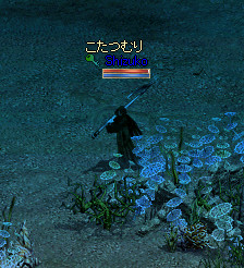 f:id:Ayakokko:20111117073044j:image