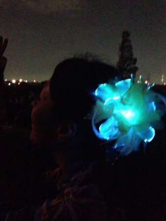 f:id:Ayami:20131129192841j:image