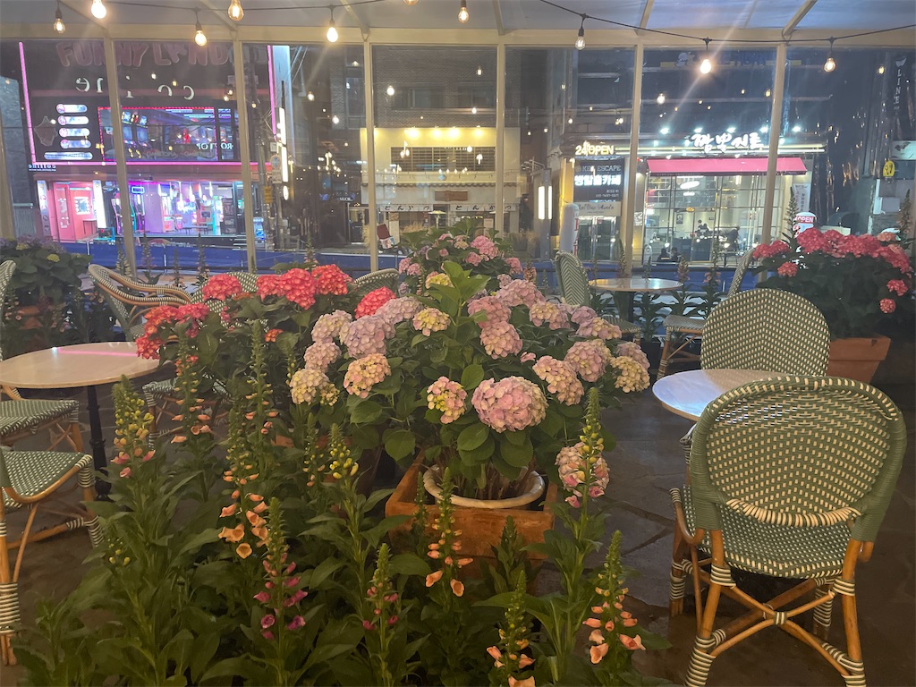 f:id:Ayamilulu:20230730204251j:image