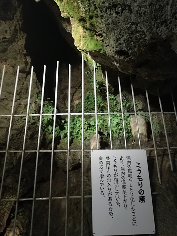 f:id:Ayatamama:20180507113823j:plain