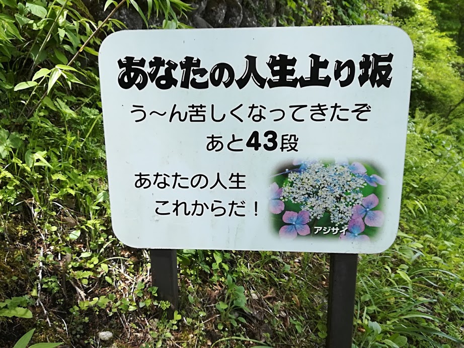 f:id:Ayatamama:20180507113951j:plain