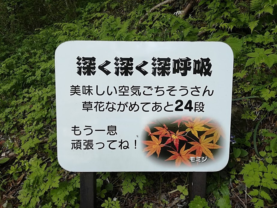 f:id:Ayatamama:20180507115636j:plain