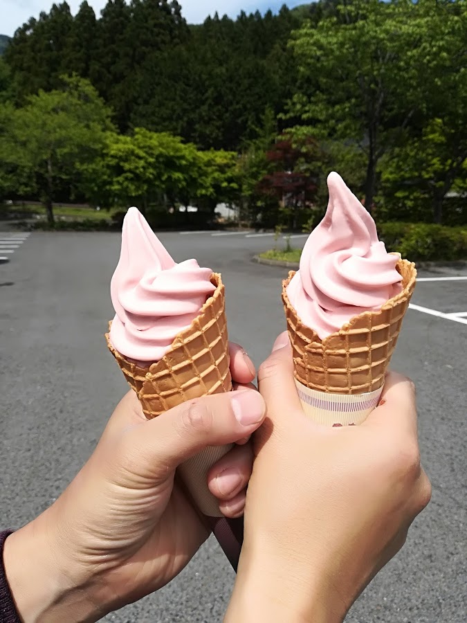 f:id:Ayatamama:20180507130343j:plain
