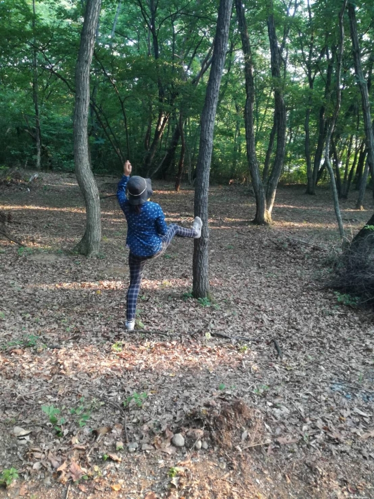 f:id:Ayatamama:20180724154001j:plain f:id:Ayatamama:20180724154001j:plain