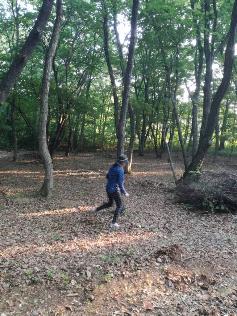 f:id:Ayatamama:20180724154047j:plain f:id:Ayatamama:20180724154047j:plain