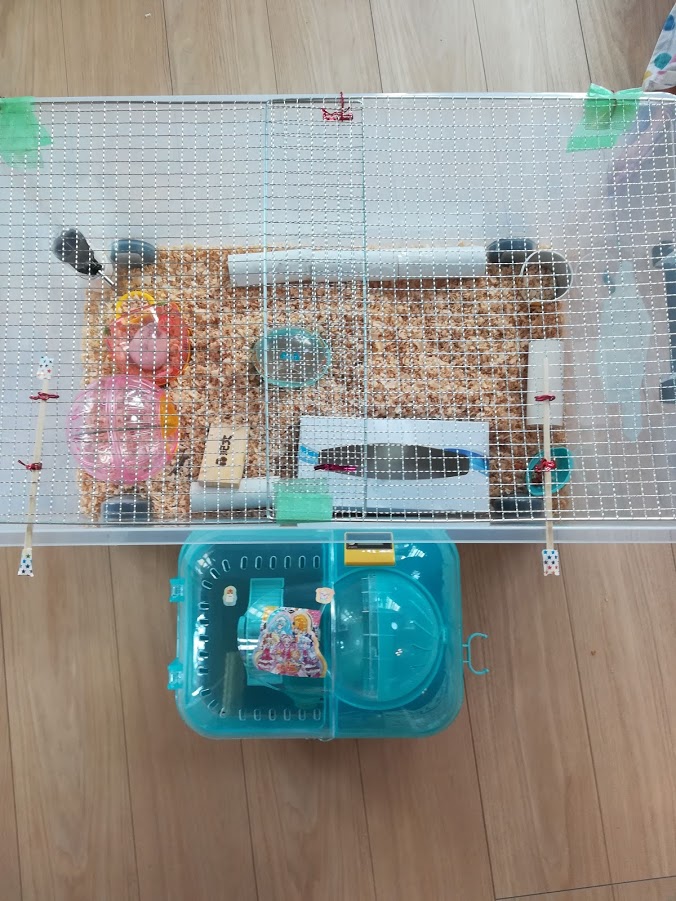 簡単、節約!衣装ケースでハムスターハウスを自作! - 20181016061249