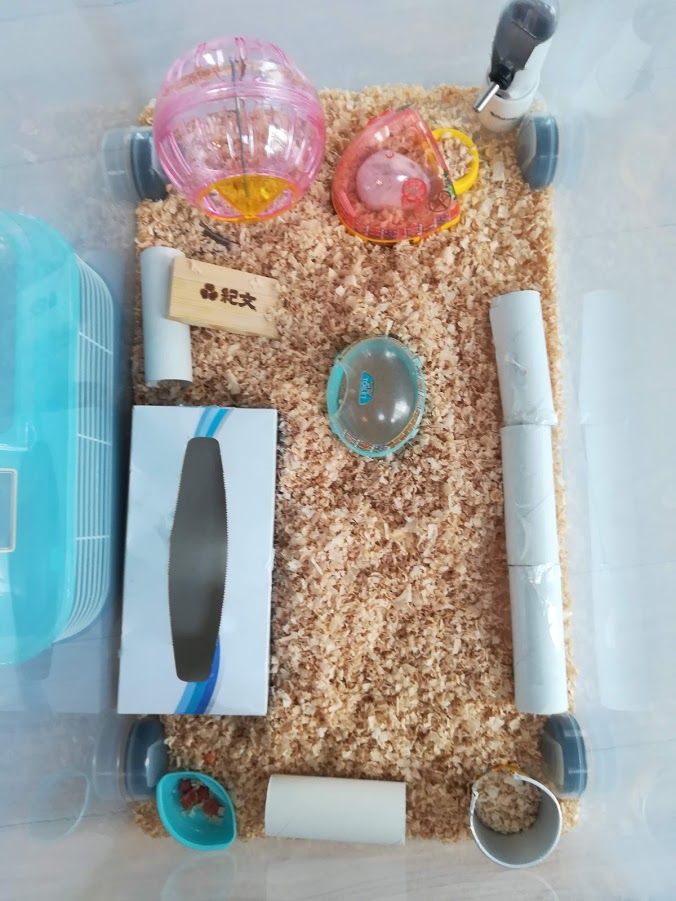 ハムスター 衣装 ケース 水飲み - 20181016061305