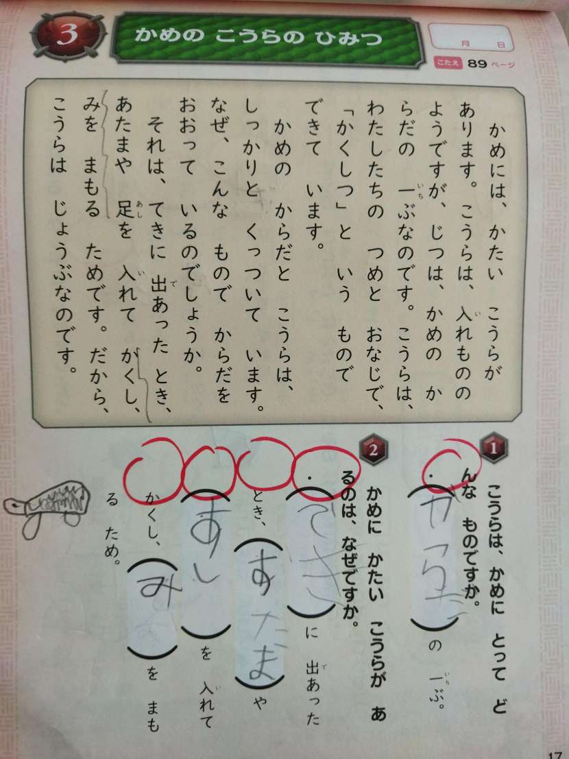 f:id:Ayatamama:20220119095528j:plain