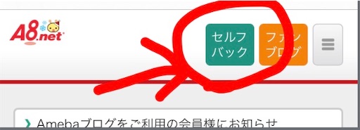 f:id:Ayoma:20191210073348j:image