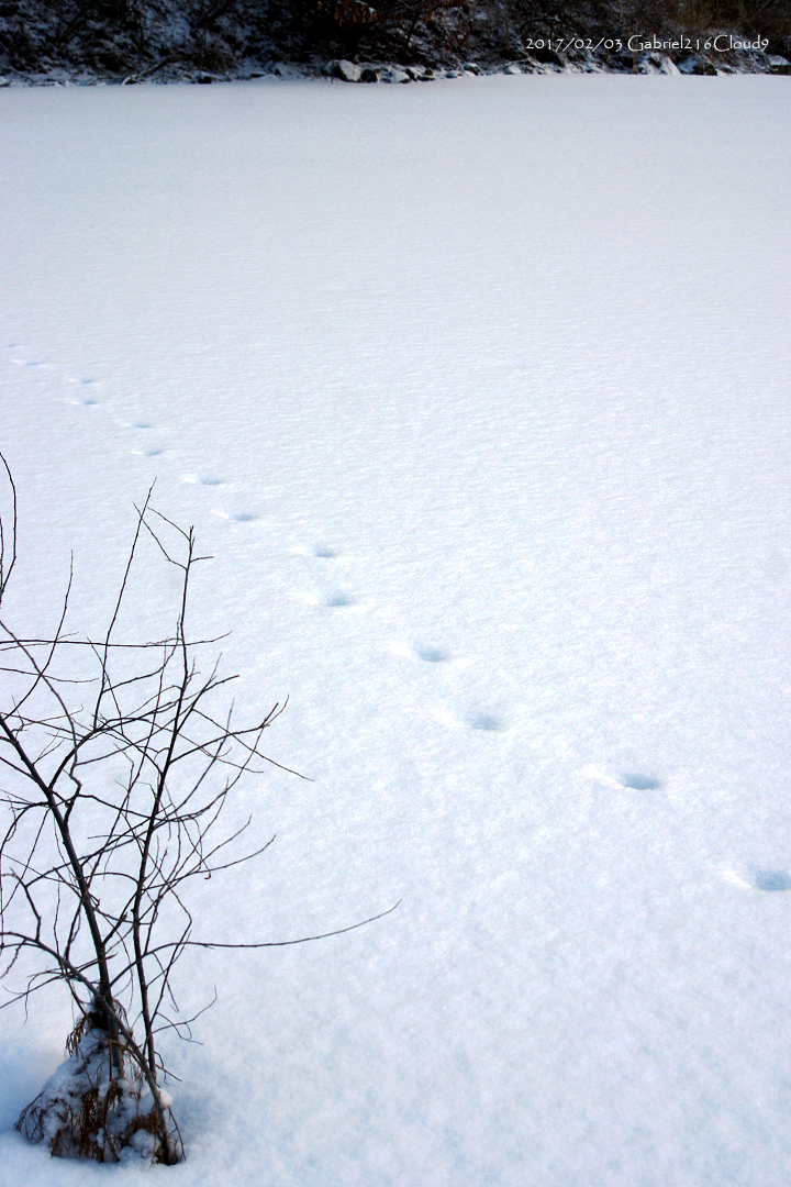 f:id:AyumiKSHFMapJP:20200114230303j:plain