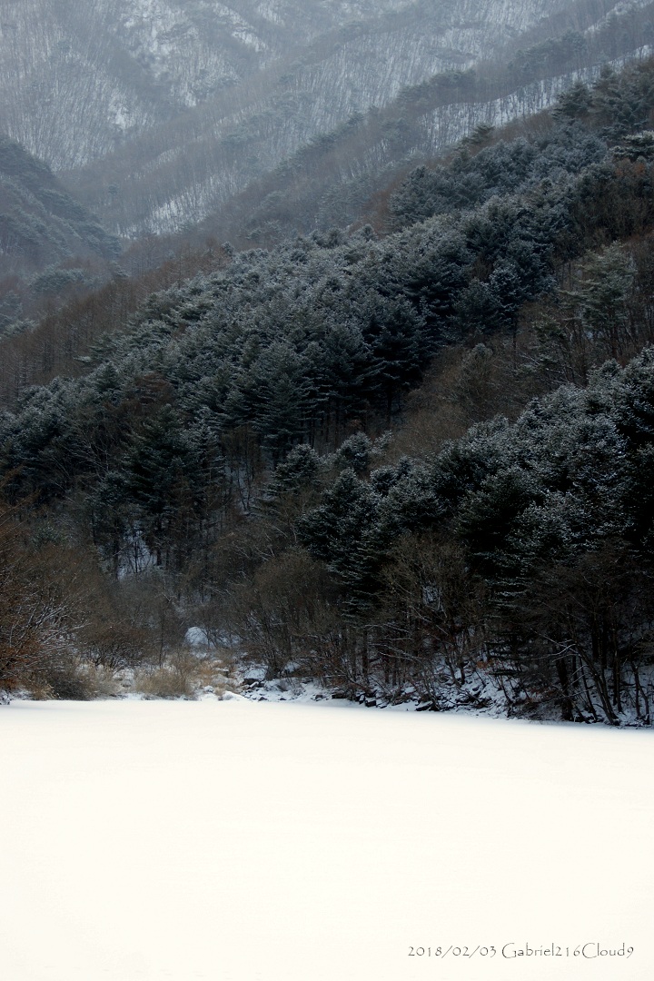 f:id:AyumiKSHFMapJP:20200114232737j:plain