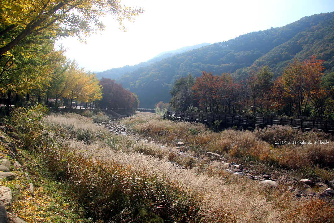 f:id:AyumiKSHFMapJP:20200118175305j:plain