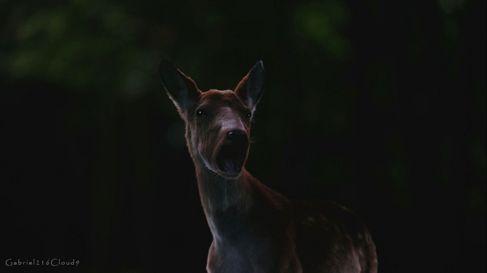 f:id:AyumiKSHFMapJP:20200810014943j:plain