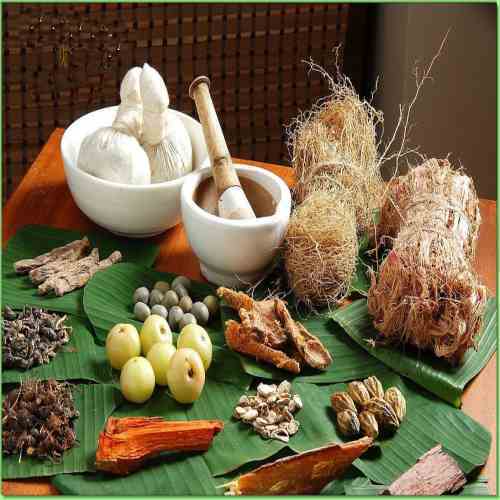 f:id:AyurvedicDoctor:20191014153400j:plain