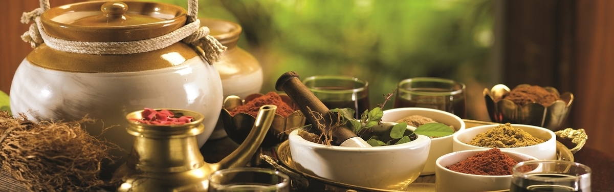 f:id:AyurvedicDoctor:20191119135106j:plain