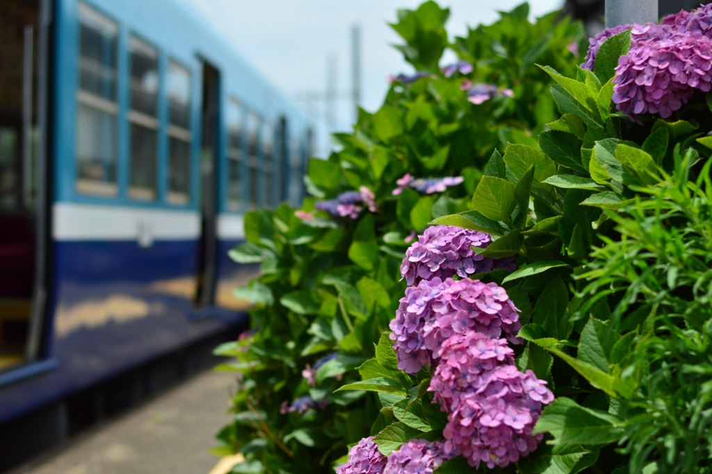 f:id:Az_shijimi:20160628232651j:plain