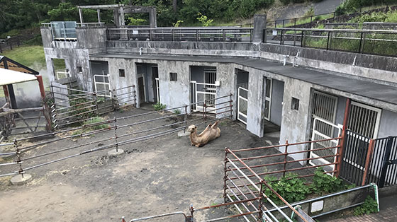 f:id:AzuLitchi:20180811000112j:plain