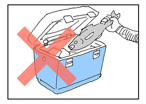 f:id:AzuLitchi:20180906001054j:plain