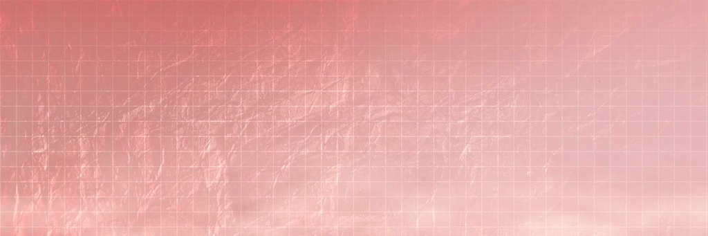 f:id:AzuLitchi:20190205171455j:plain