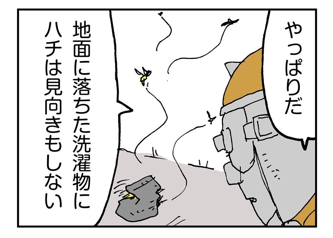 洗濯物に蜂が アシナガバチの対処 らいちのヒミツ基地