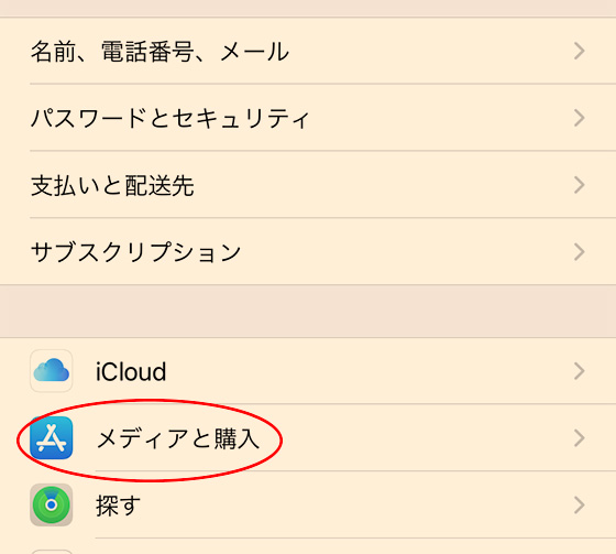 f:id:AzuLitchi:20201111003541j:plain