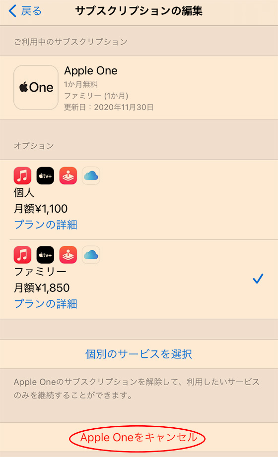 f:id:AzuLitchi:20201111004323j:plain