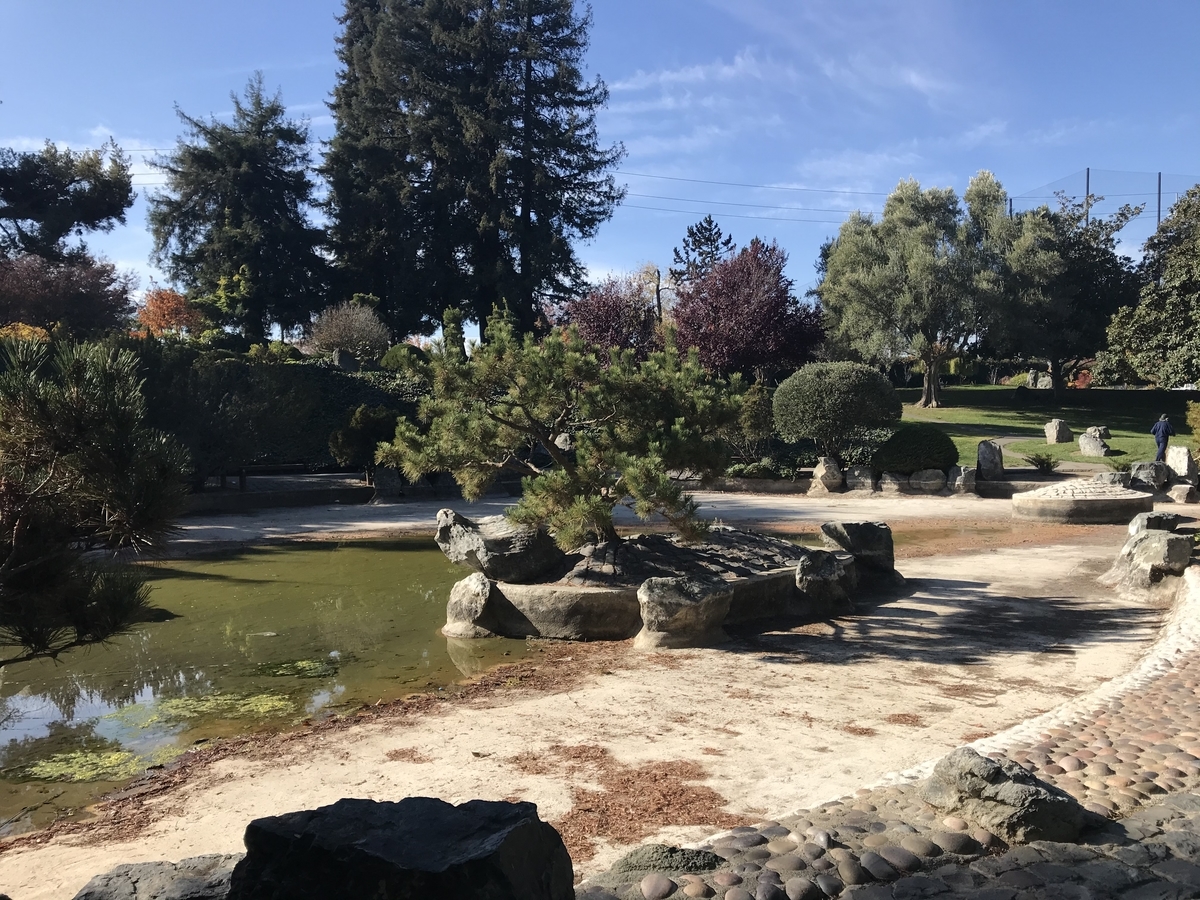 SSN（Social Security Number）の取得について あづま次郎のアメリカ生活