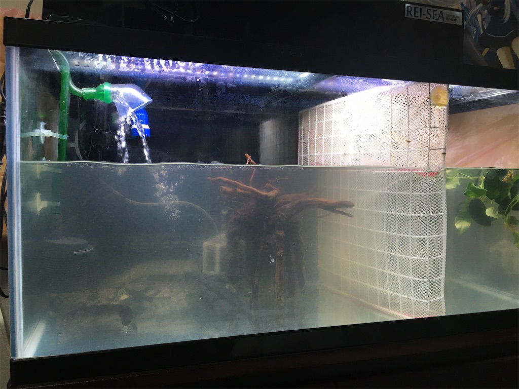 f:id:Azusa116:20191225004848j:image
