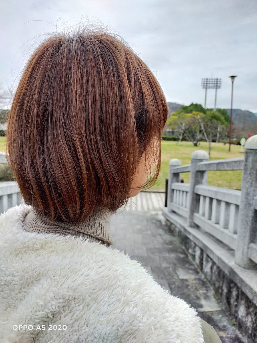 f:id:Azusa_Hirano:20200127111529j:plain f:id:Azusa_Hirano:20200127111529j:plain