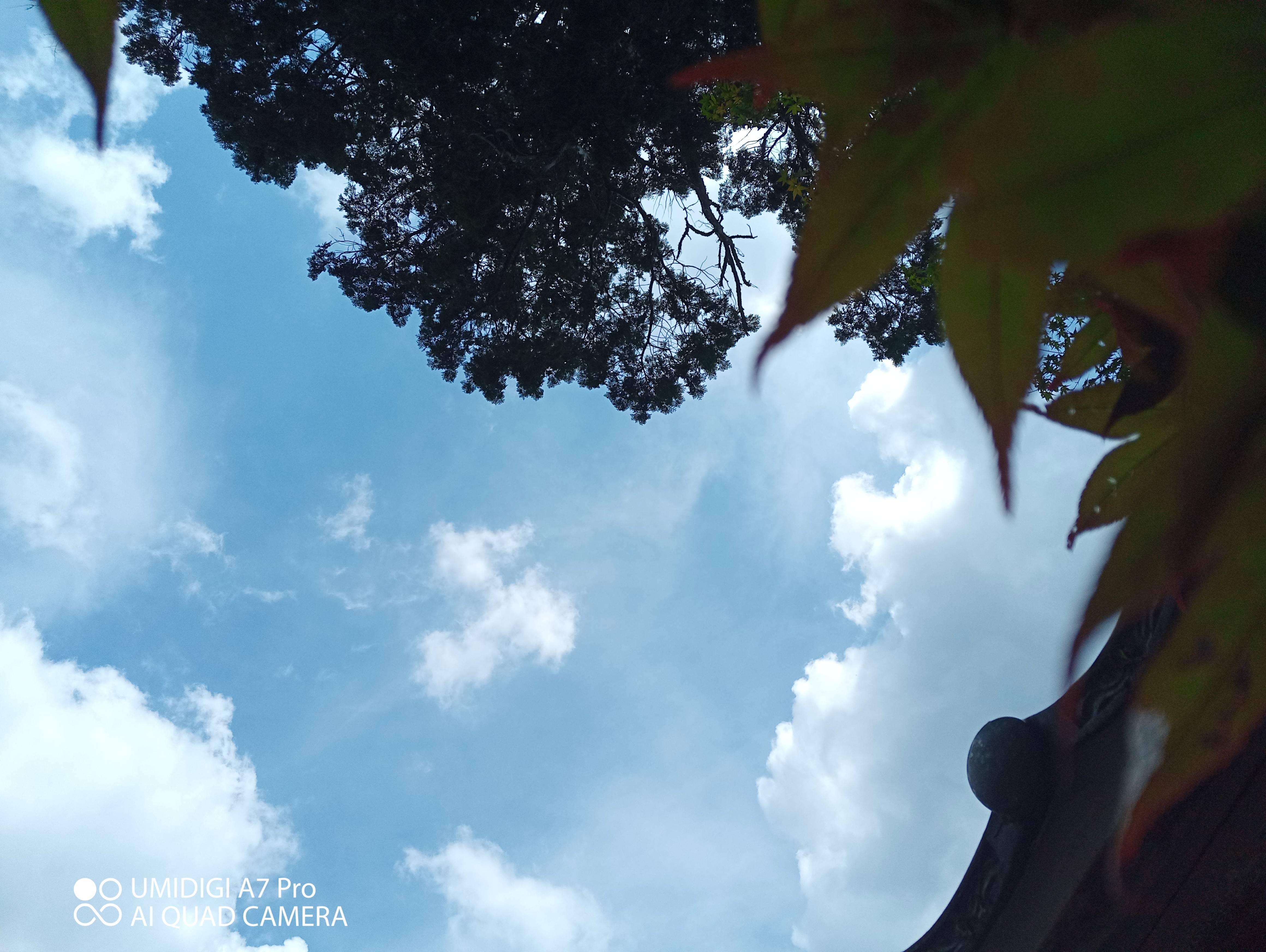 f:id:Azusa_Hirano:20200831183925j:plain f:id:Azusa_Hirano:20200831183925j:plain