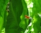 20100627221155