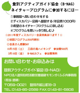 20110702182620