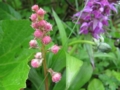 20120612201856