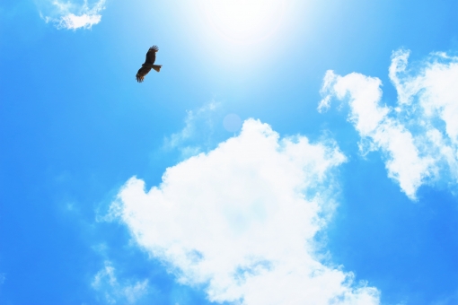 f:id:B193364:20200811210553j:plain