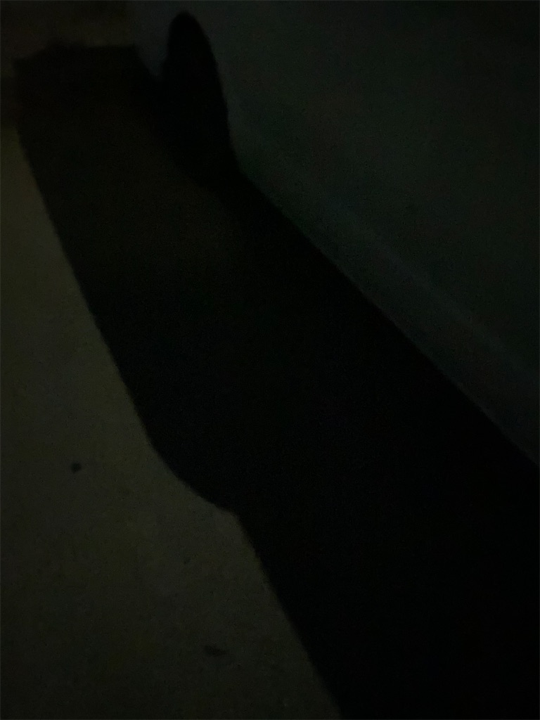 f:id:BADEN-LIFE310:20201103085148j:image