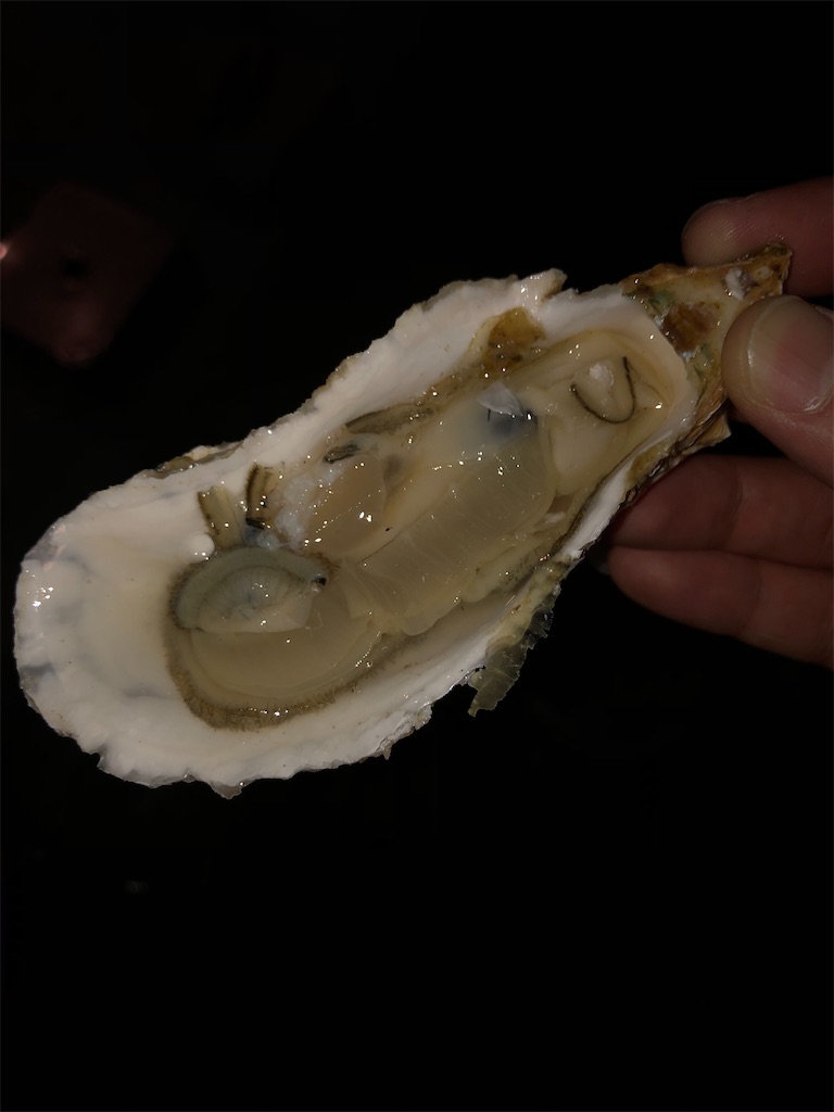 f:id:BADEN-LIFE310:20201107161011j:image