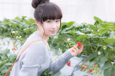f:id:BARUkun:20190624203807j:plain f:id:BARUkun:20190624203807j:plain