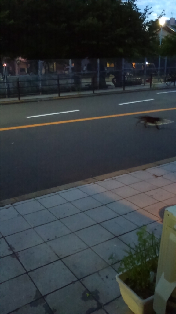 f:id:BARin:20180708193229j:plain f:id:BARin:20180708193229j:plain