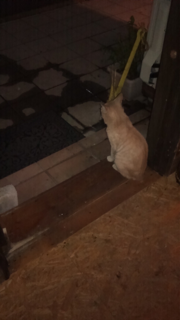 f:id:BARin:20180710223715j:plain