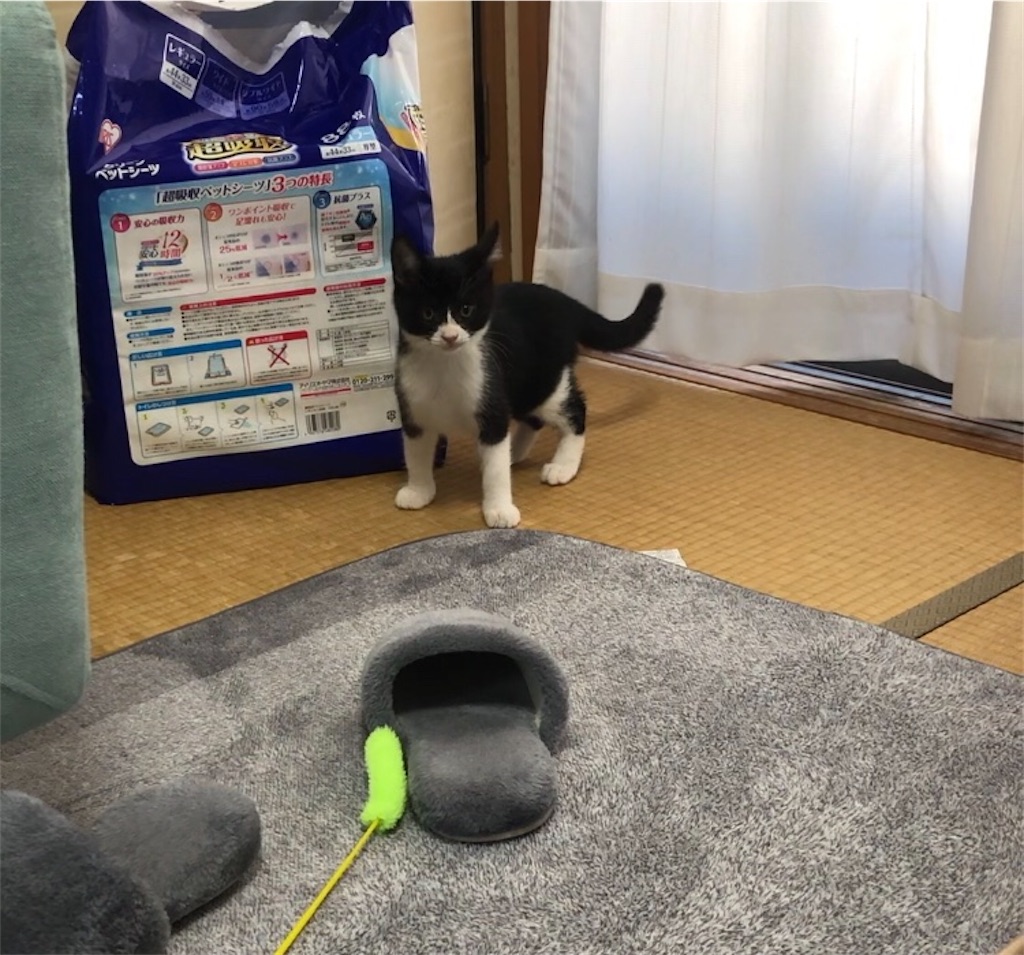 f:id:BBmetal:20201028112809j:image