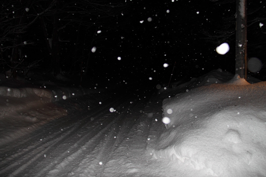 f:id:BCC:20100102214124j:image:w400