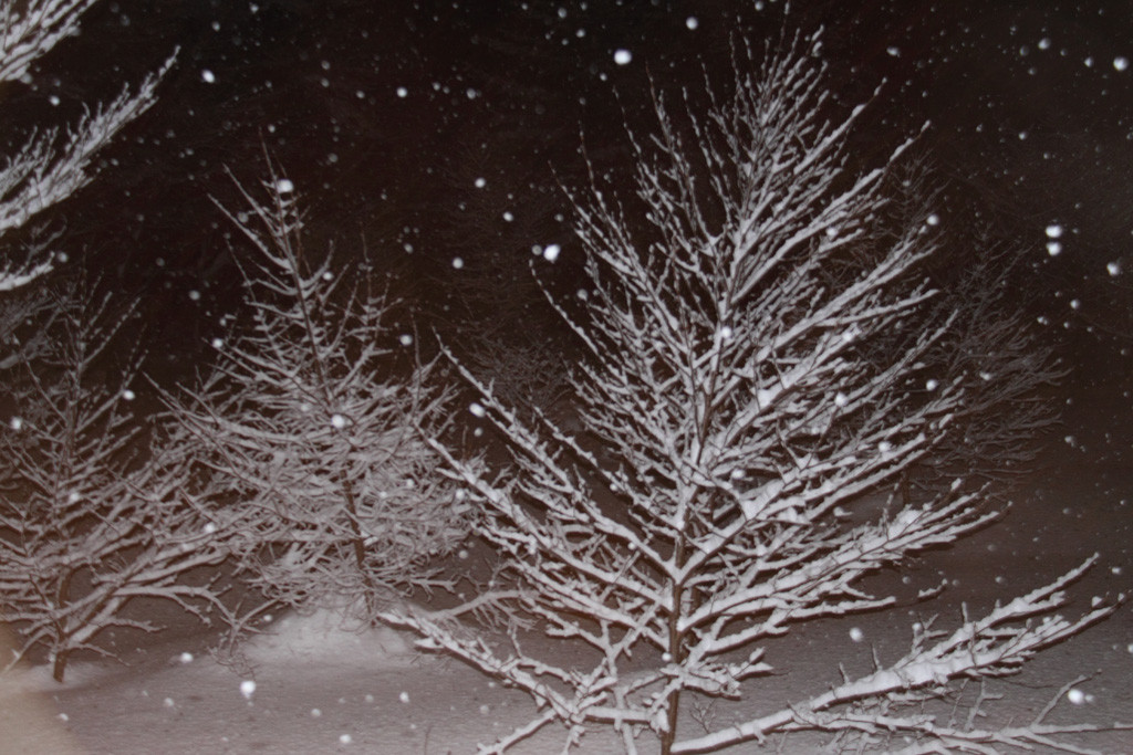 f:id:BCC:20100102215741j:image:w400