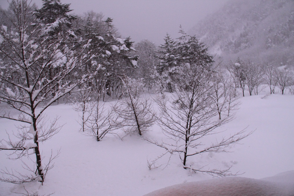 f:id:BCC:20100103064210j:image:w400